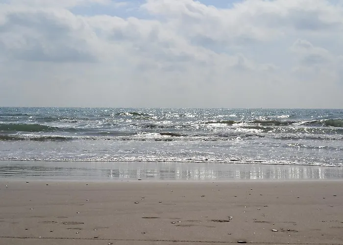 Resort Agh Canet 4*